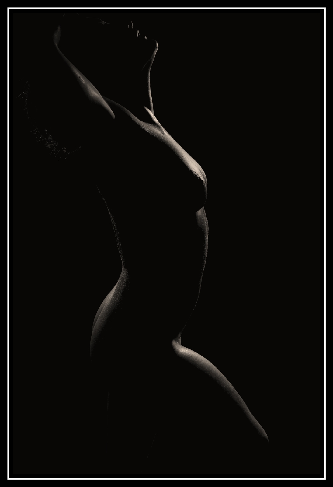 Yd   01   537web
